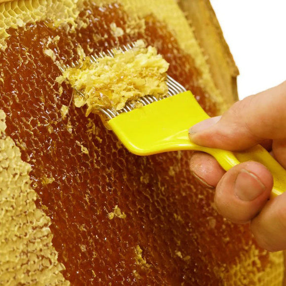 Honey and Processing Equipment