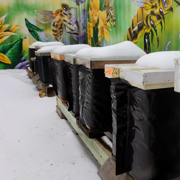 Winter Supplies