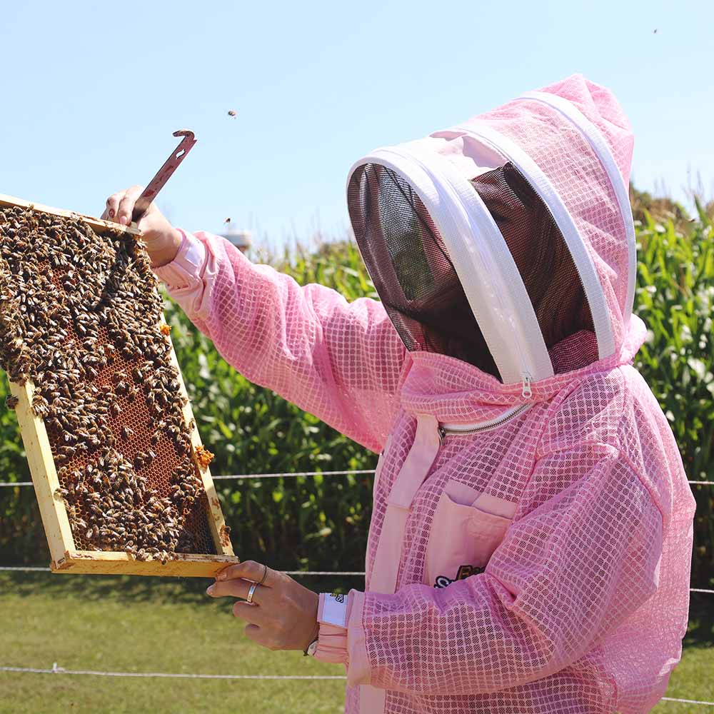 Person in pink beekeeping suit holding a honeycomb frame with bees outdoors.