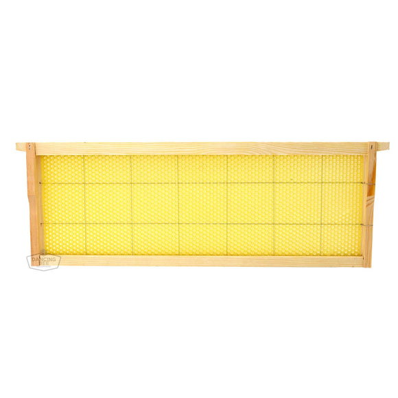 Dancing Bee | Assembled Beeswax Frame | Medium | Box of 40