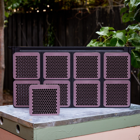 Frame with 8 Cassettes for Micro Honey Harvester | HiveKeepers