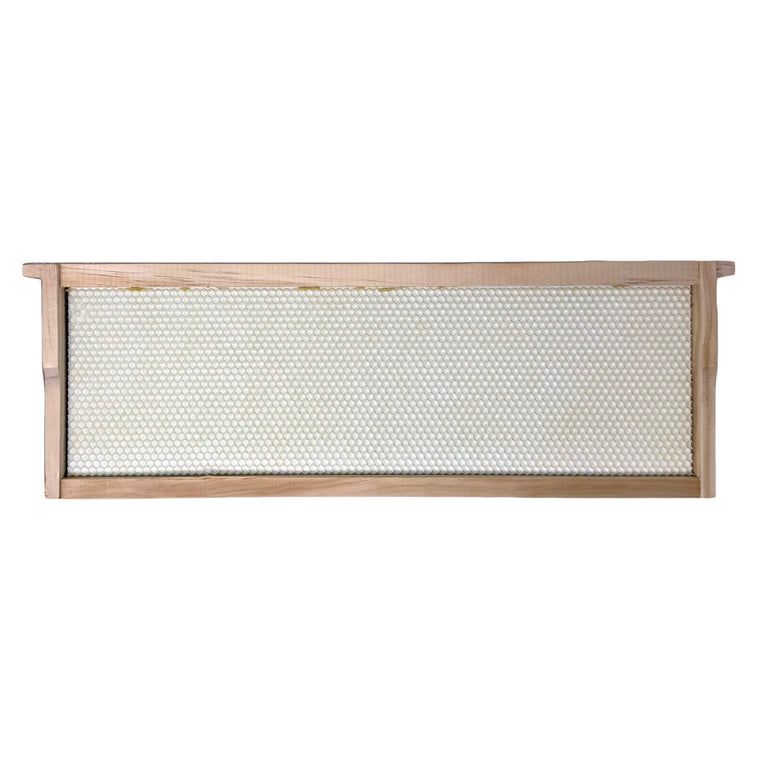 Assembled Pierco/Alliance Double Waxed Frames | Medium | White