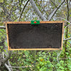 Swarm Reacher