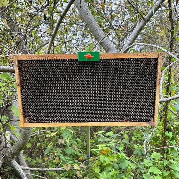 Swarm Reacher