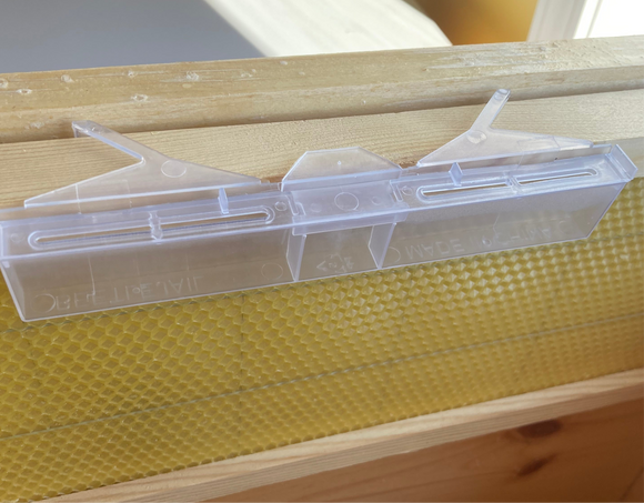 beetle jail with open and closed lid
