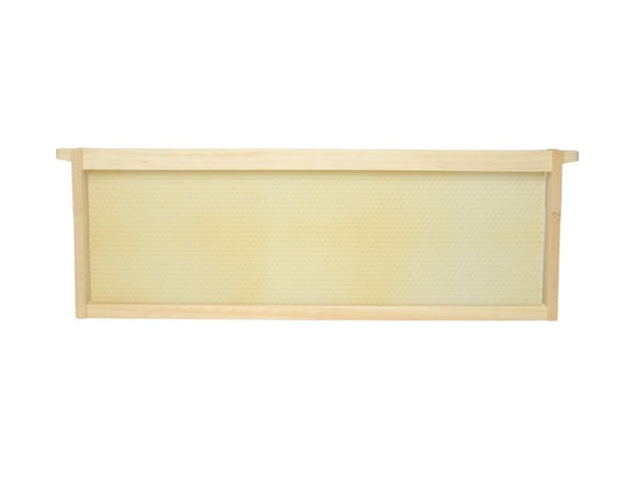 Assembled Frames w/ Puracell Foundation (Single Wax)